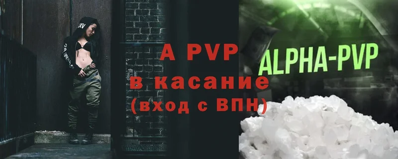 A-PVP СК  Калтан 